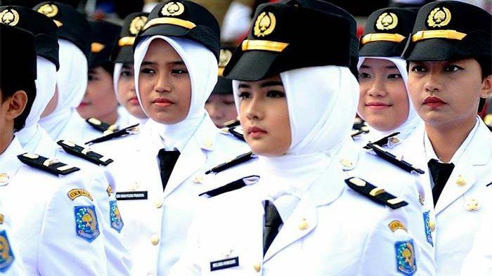 Tryout Online PKN STAN Terpercaya: Rekomendasi Platform Gratis dan Akurat