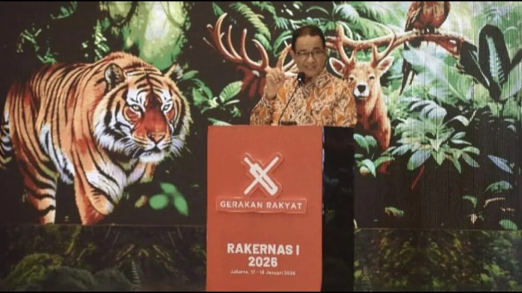 Deforestasi Legal Tinggi Terjadi di Banyak Wilayah, Skema Izin Resmi Dinilai Perlu Dievaluasi