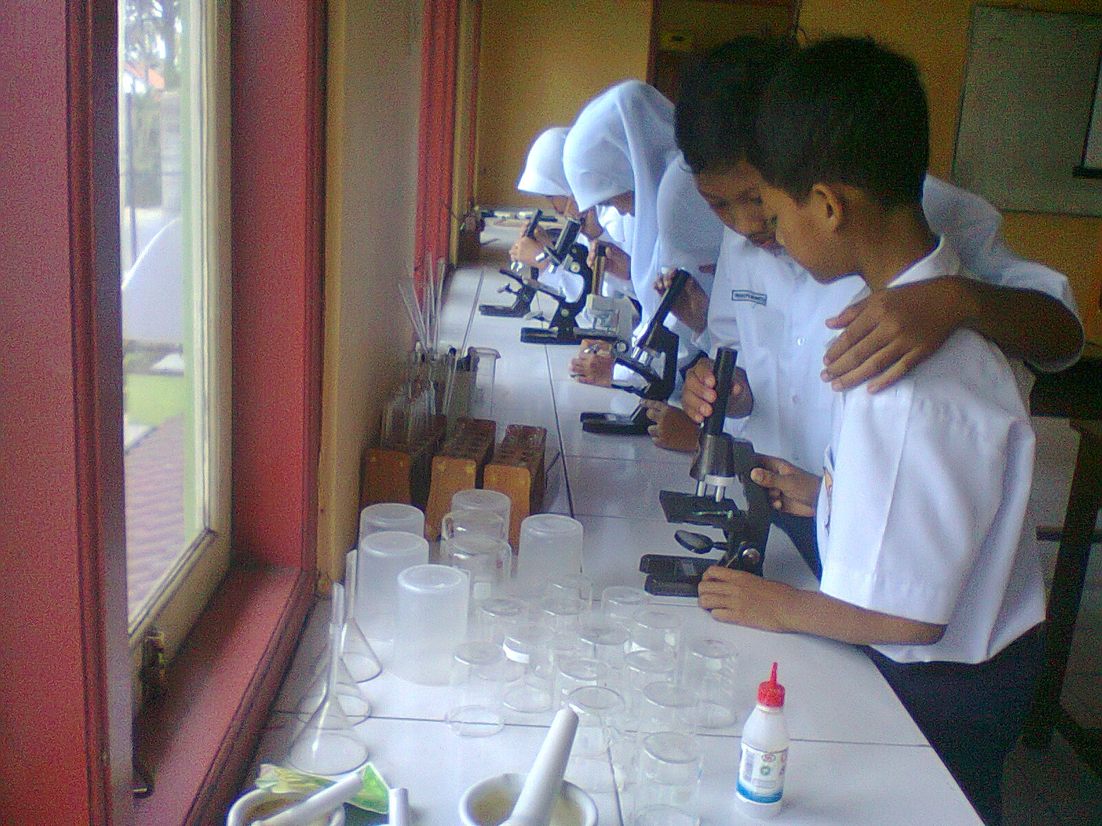 Menyongsong Ujian dengan Tryout Online IPA SMP yang Efektif